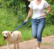 NEW! Bungee Dog Leash