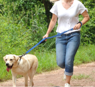 NEW! Bungee Dog Leash