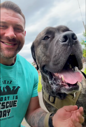 Today Is Rescue Day Bus Graphic T-Shirt- Up to 4XL