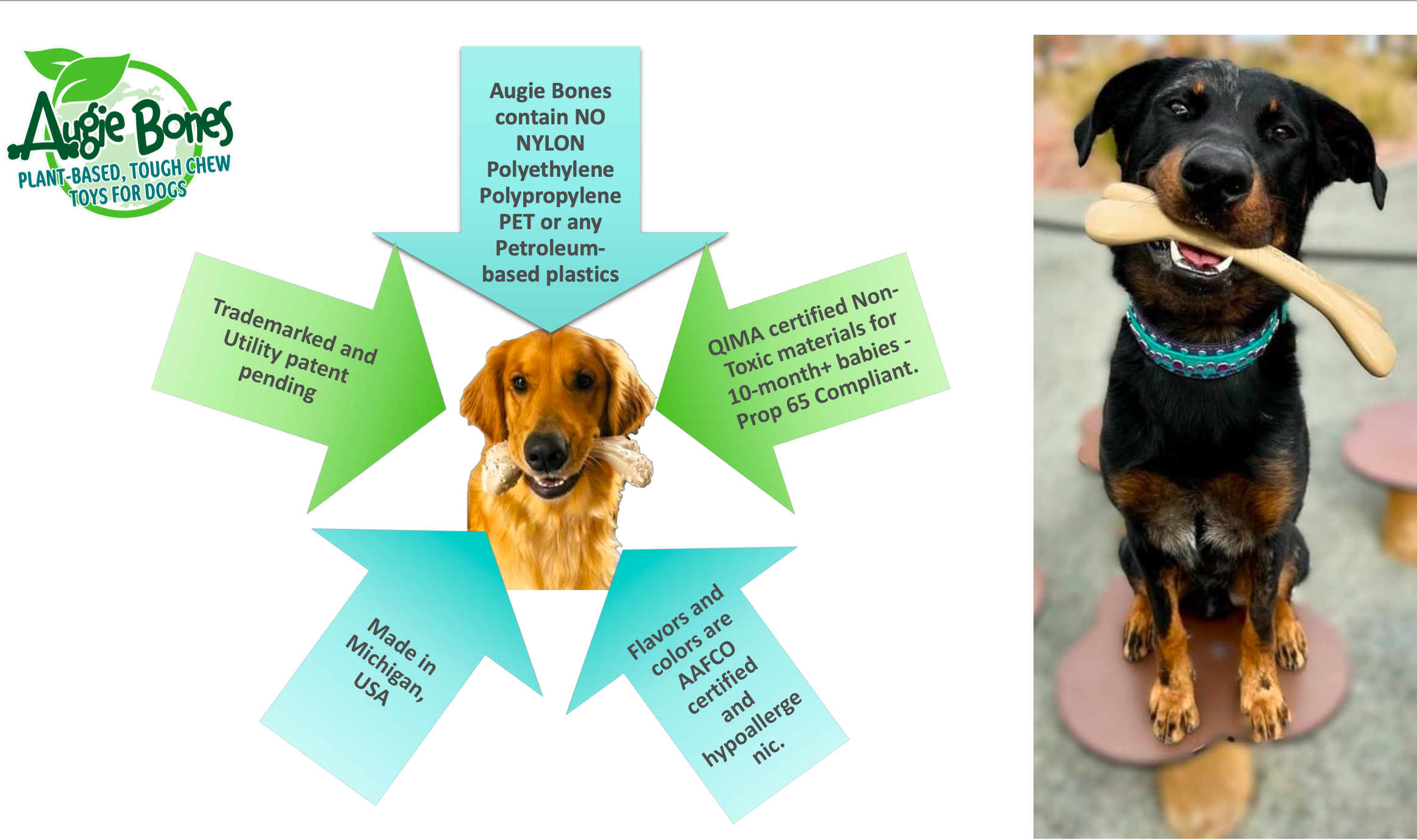 🎁 New! Buy One, GIVE One- Augie Bones Bundle