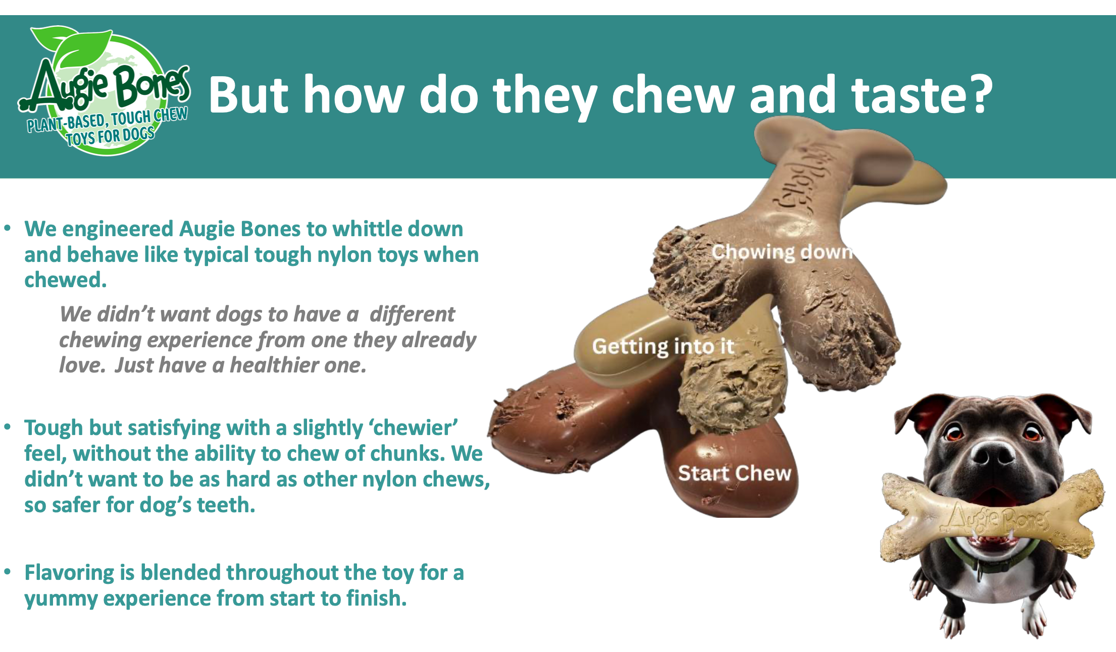 🎁 New! Buy One, GIVE One- Augie Bones Bundle