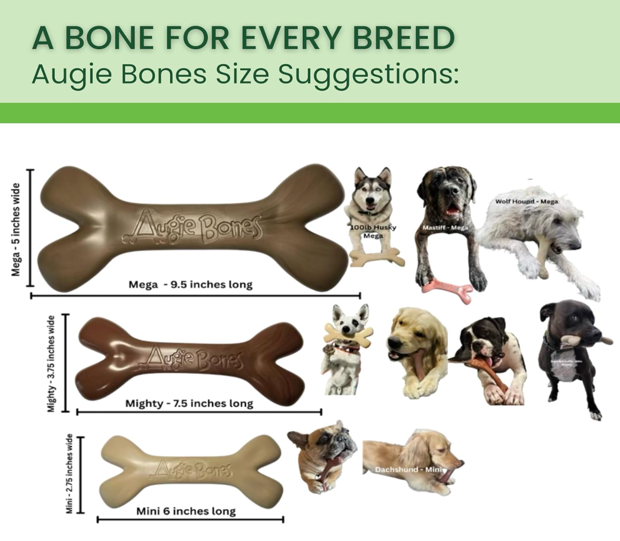 🎁 New! Buy One, GIVE One- Augie Bones Bundle