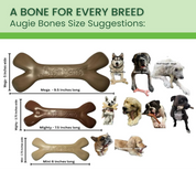 🎁 New! Buy One, GIVE One- Augie Bones Bundle