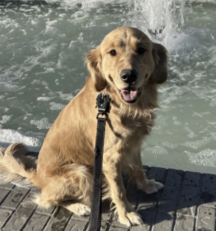 GET FIXED WITH THE ASHER HOUSE: