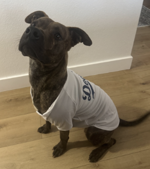 GET FIXED WITH THE ASHER HOUSE: