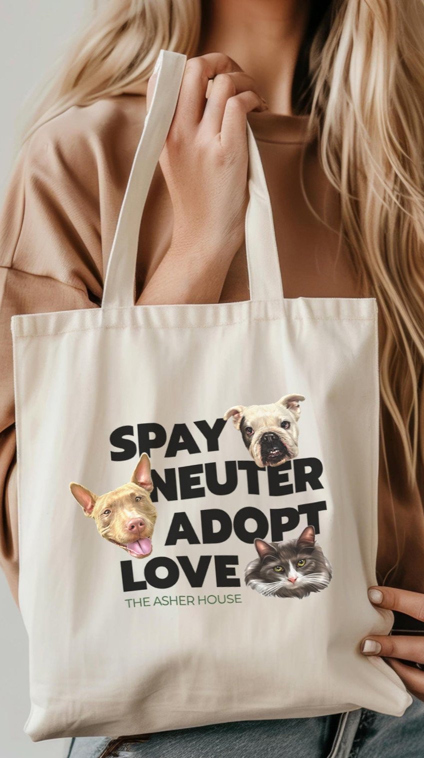 Medium Canvas Totes (4 Designs)