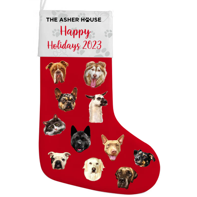 The Asher House 2023 Stocking