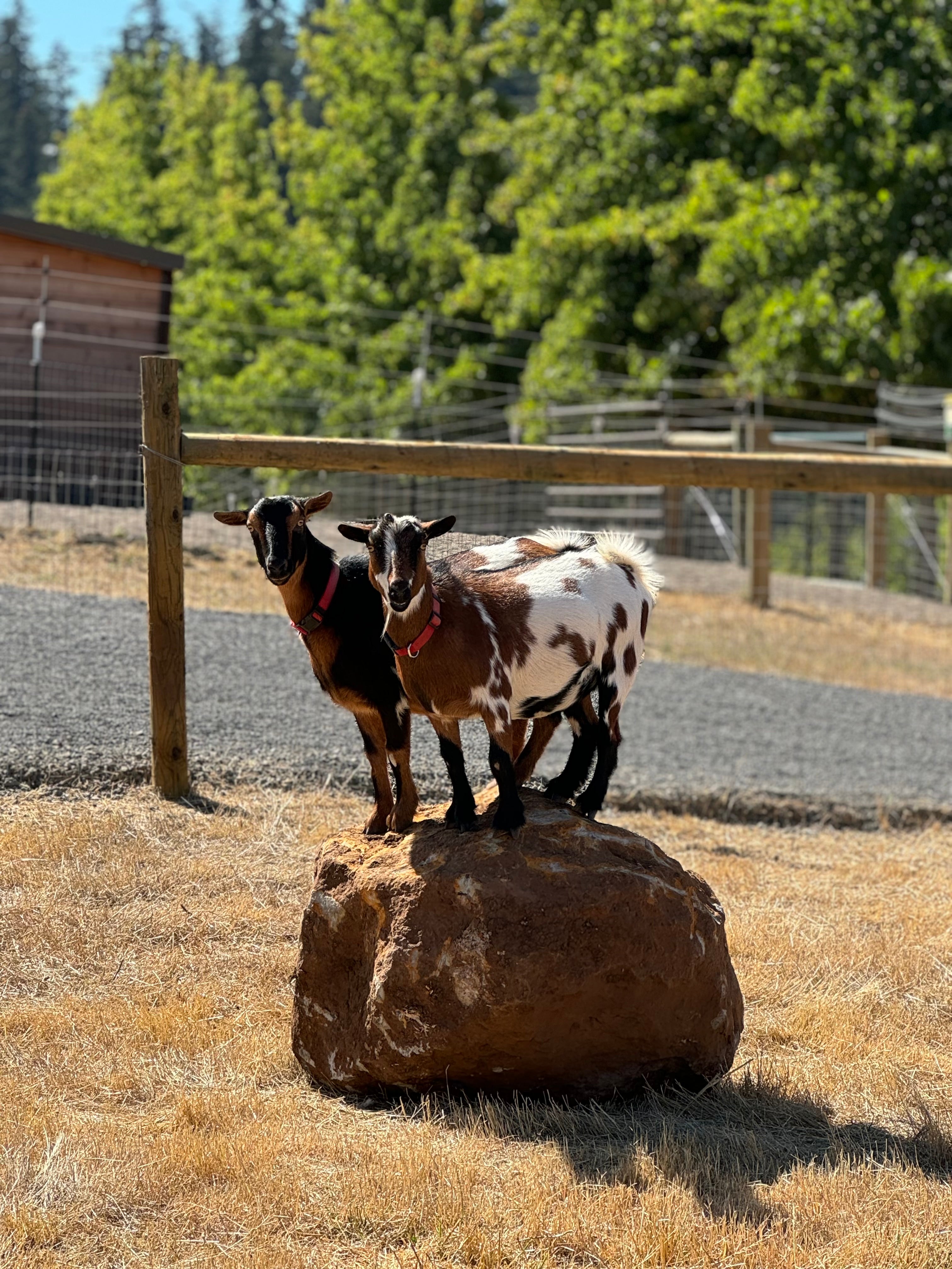 AROUND THE SANCTUARY: