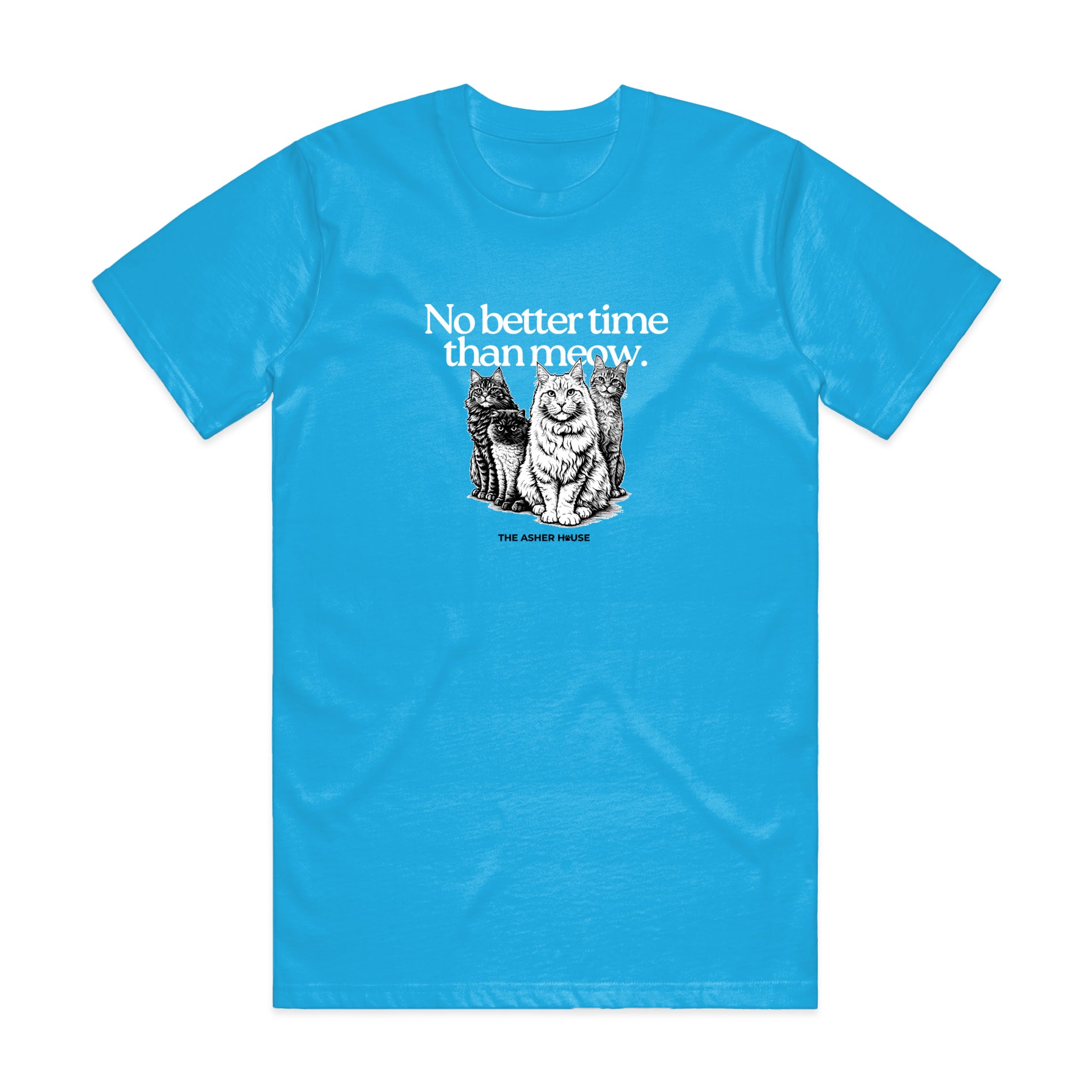 New! PawsitiviTEES T-Shirt: No Better Time Than Meow- Up to 3XL