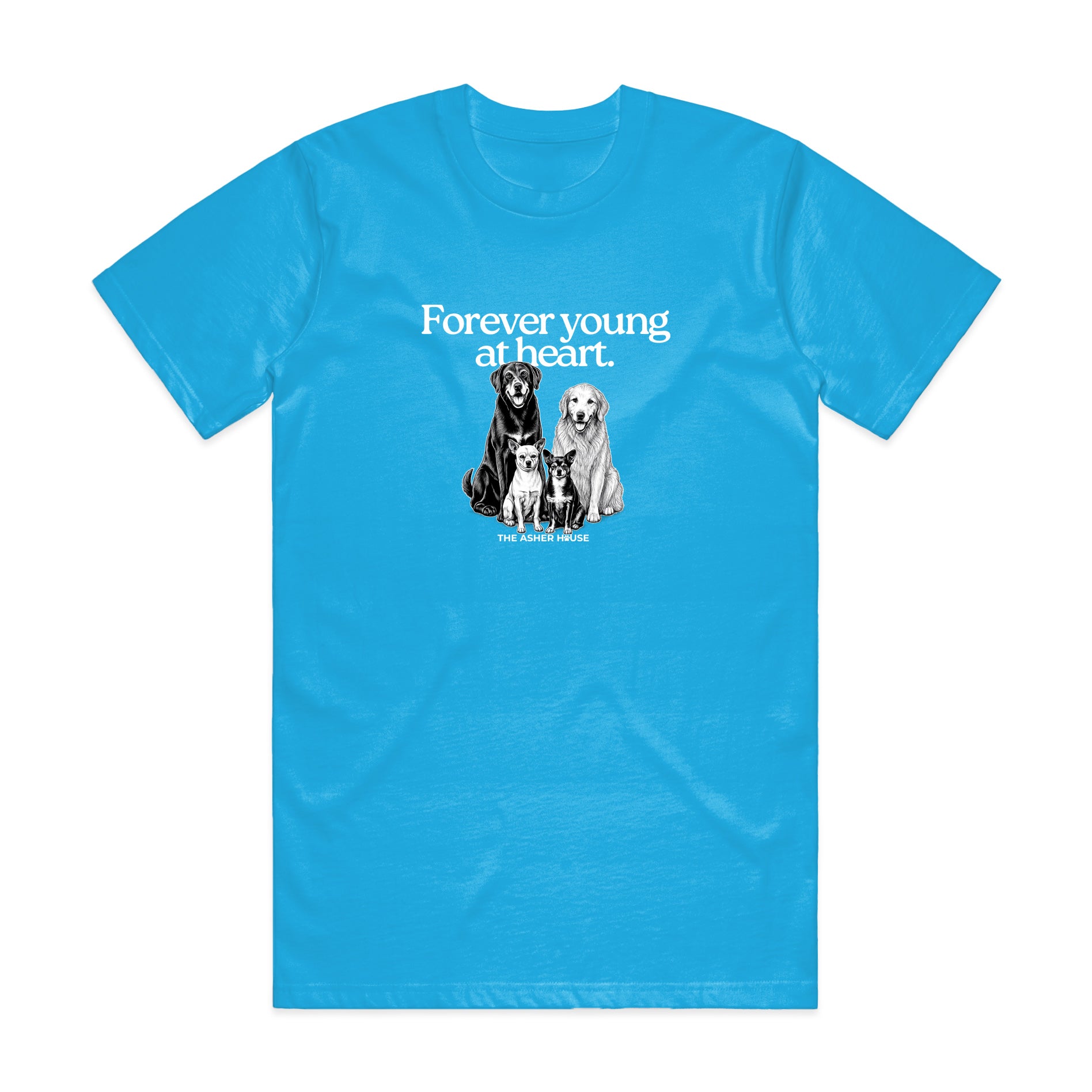New! PawsitiviTEES T-Shirt: Forever Young at Heart- Up to 3XL