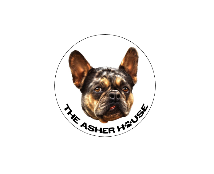 The Asher House Individual Pack Member Magnet