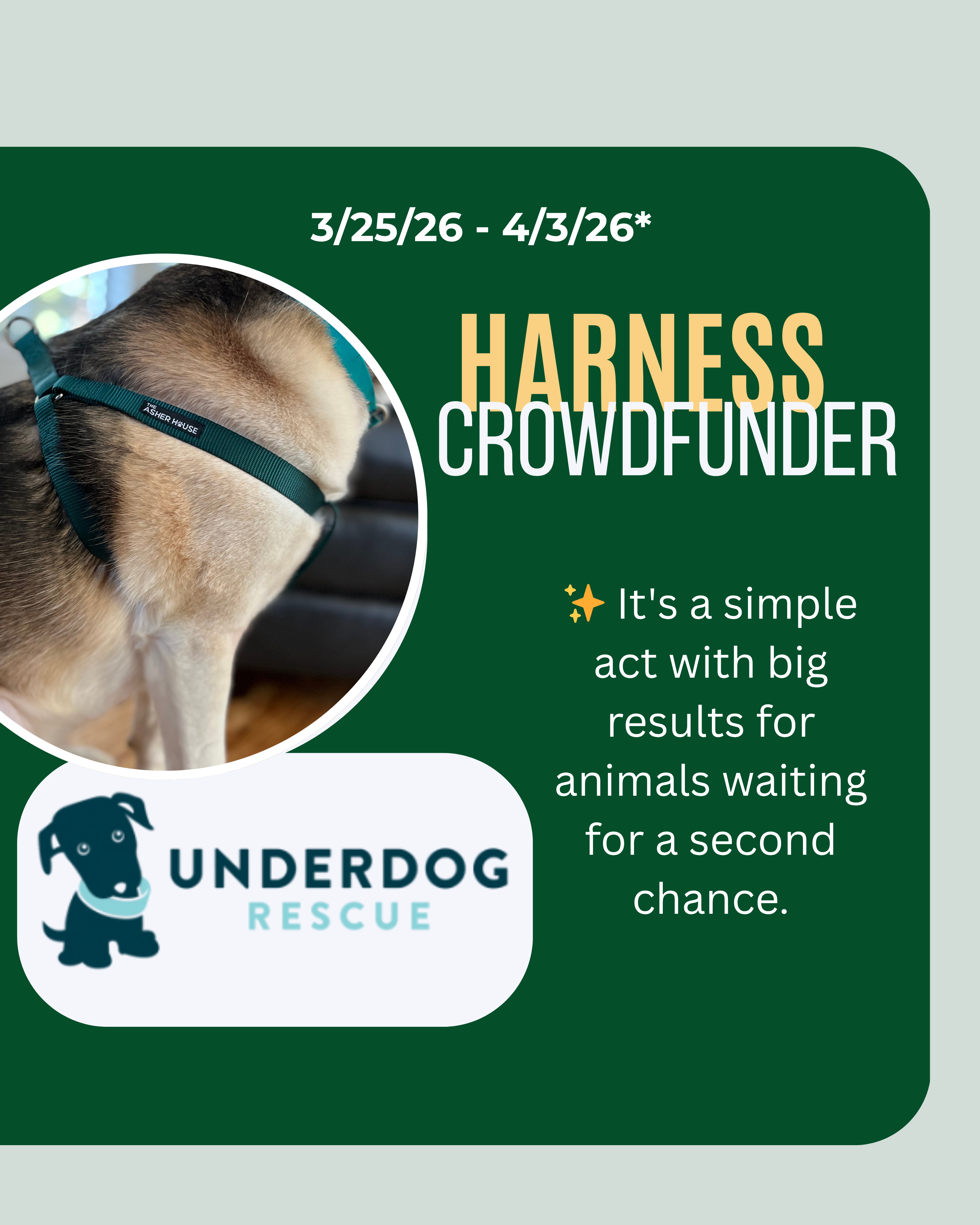 Buy A Harness for Underdog Rescue