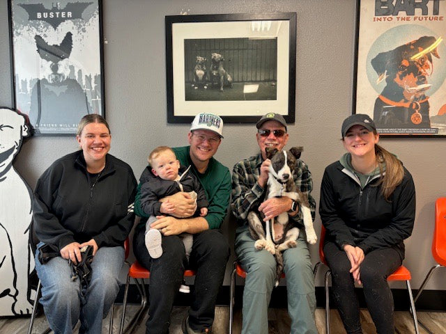 Adopted images – The Asher House