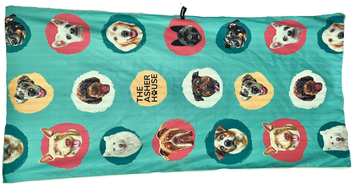 beachtowel.png