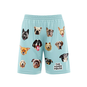 The Asher House Shorts