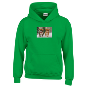 f2613f2a-8da5-4ca2-b253-c99b543c952e