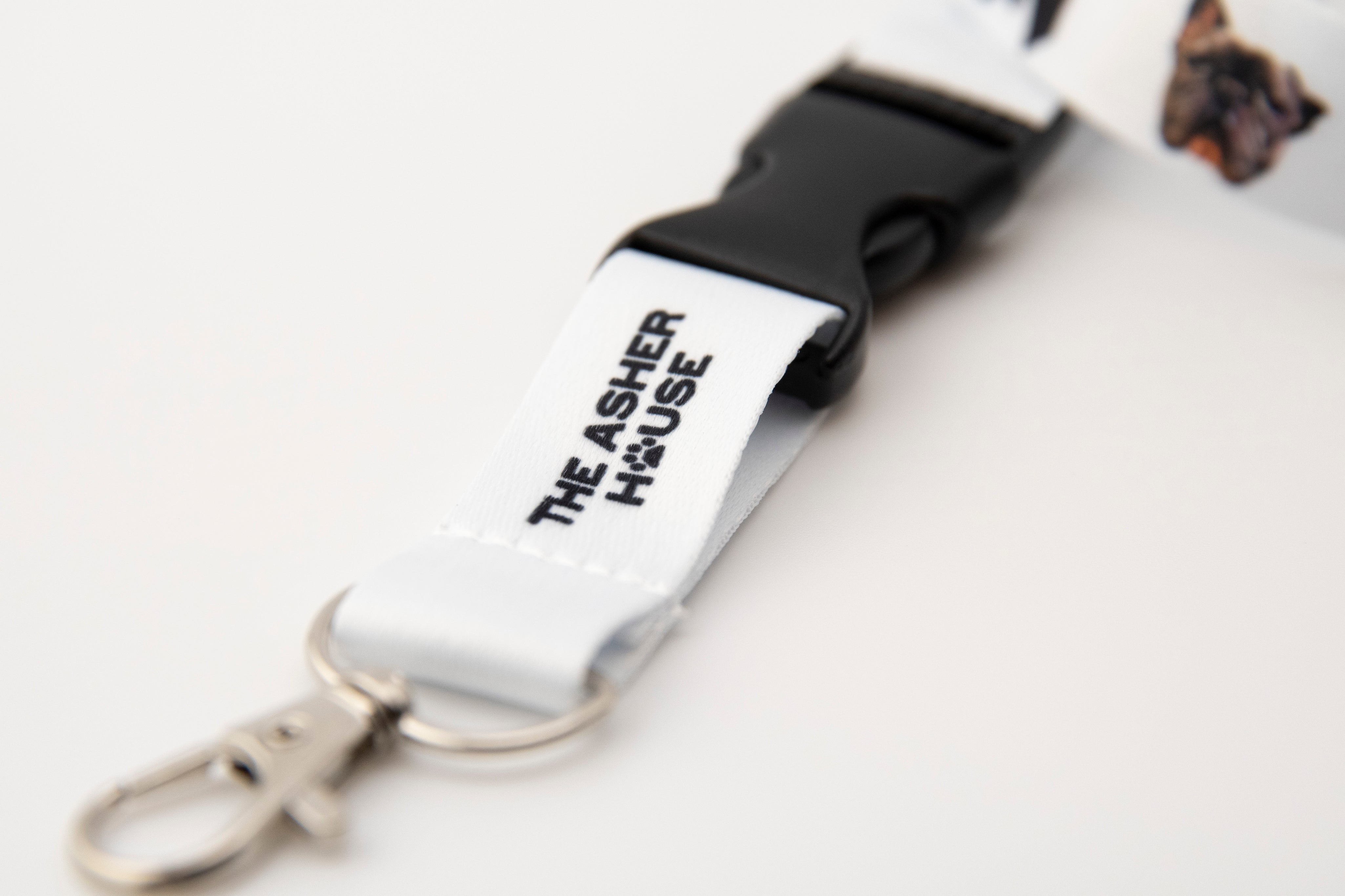 Lanyard