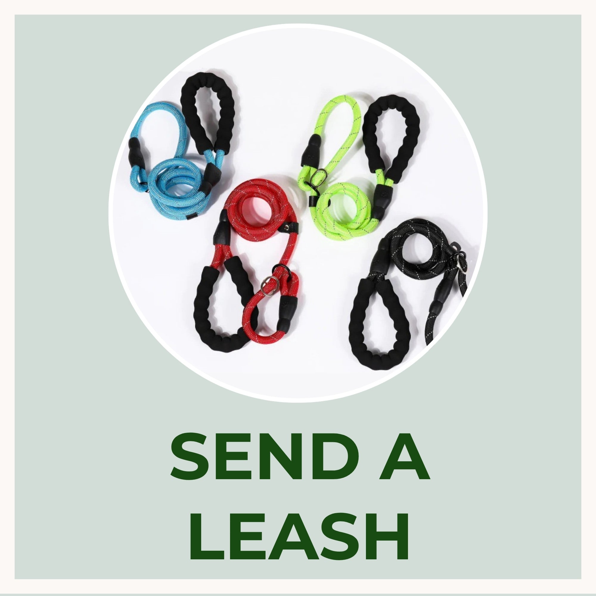 Send A Leash to Dulce Vida Animal Rescue