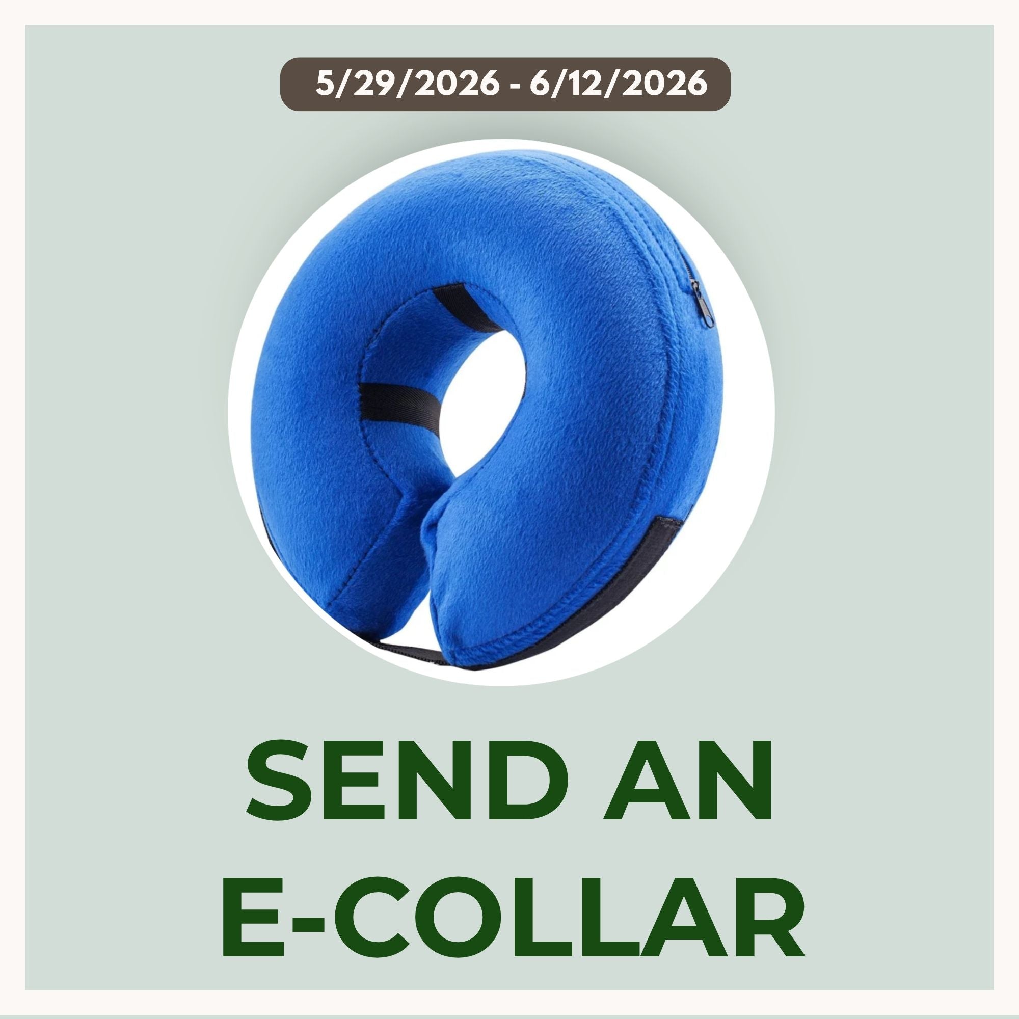 Send An E-collar for Noah's Ark Texas