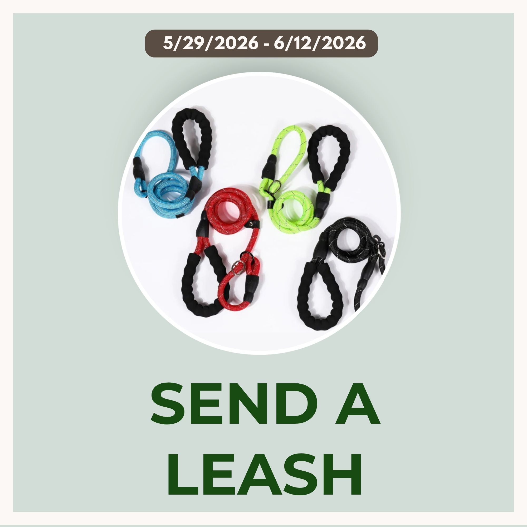 Send A Leash for Noah's Ark Texas