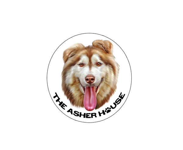 The Asher House Individual Pack Member Magnet