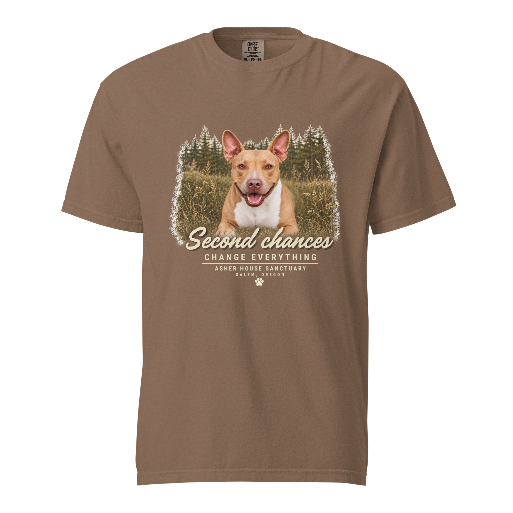 unisex-garment-dyed-heavyweight-t-shirt-espresso-front-6a88b6448c6c2.png