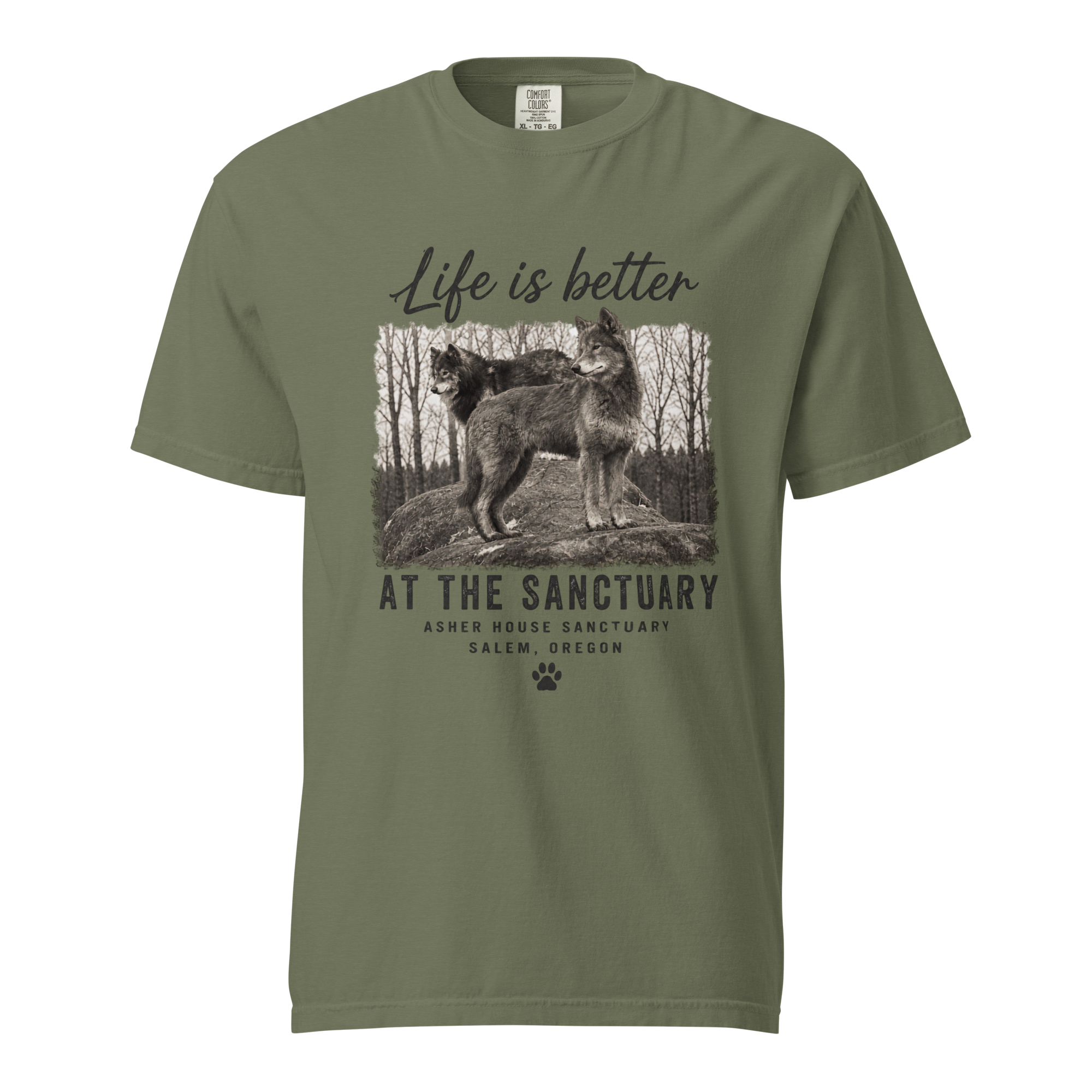unisex-garment-dyed-heavyweight-t-shirt-moss-front-6a88b88d4f16a.png